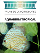 Aquarium Tropical
